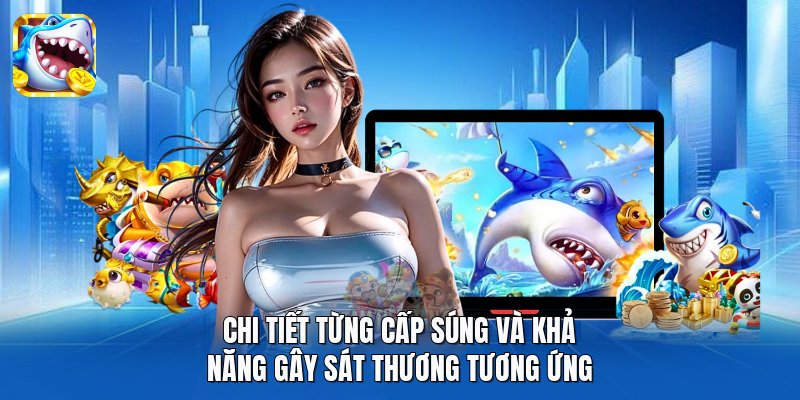 Chi tiết từng cấp súng và khả năng gây sát thương tương ứng
