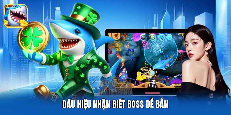 Dấu hiệu nhận biết boss dễ bắn