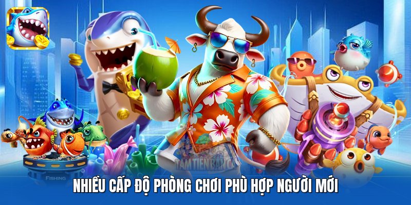 Nhiều cấp độ phòng chơi phù hợp người mới