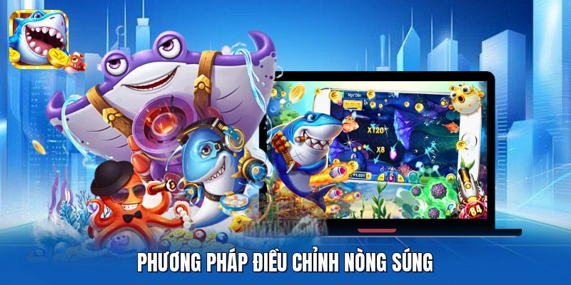 Phương pháp điều chỉnh nòng súng