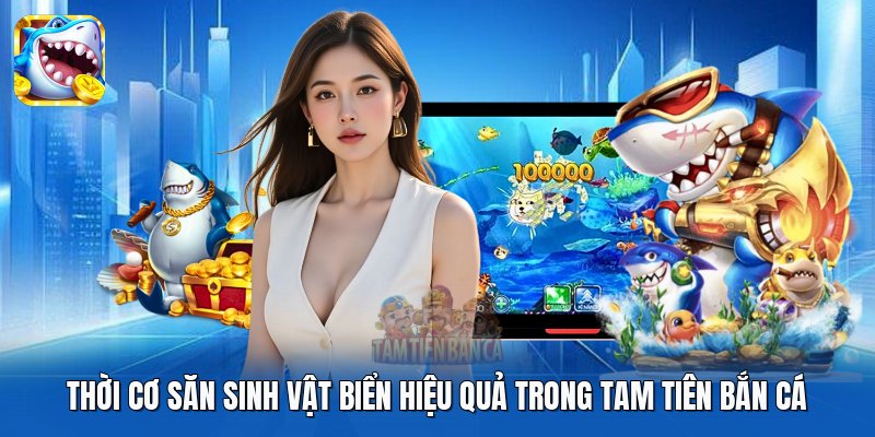 Thời cơ săn sinh vật biển hiệu quả trong Tam Tiên Bắn Cá